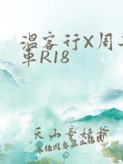 温客行X周子舒车R18