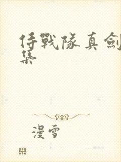 侍战队真剑者全集