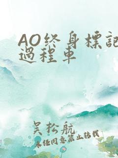 AO终身标记全过程车