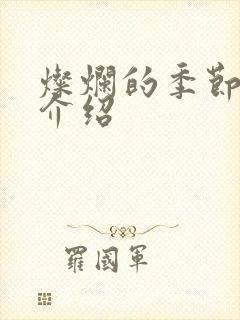 灿烂的季节剧情介绍