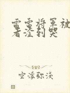 雷电将军被旅行者淦到哭