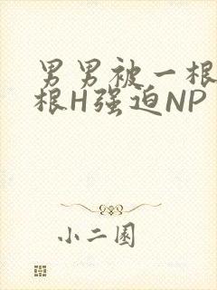 男男被一根又一根H强迫NP