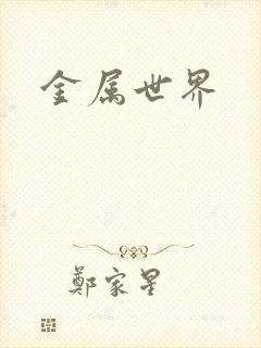 金属世界