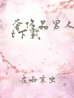 奢侈品男人txt下载