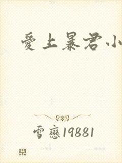 爱上暴君小甜心