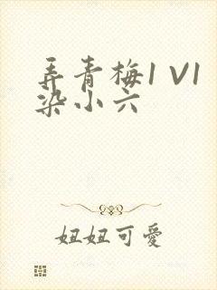 弄青梅1 V1染小六
