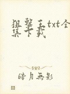 狙击王txt全集下载