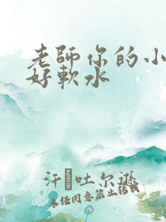 老师你的小兔子好软水