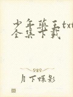 少年药王txt全集下载