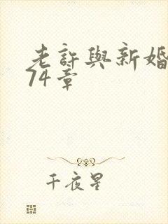 老许与新婚小倩74章