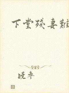 下堂残妻难再娶