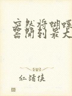 突然将蝴蝶遥控器开到最大