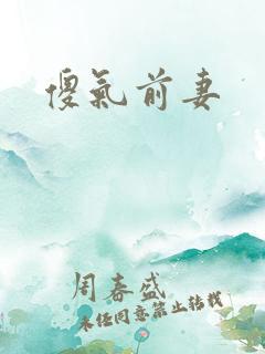 傻气前妻