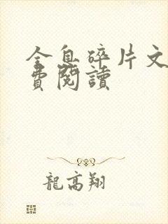 全息碎片文轩免费阅读