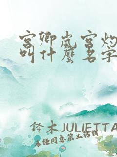 宫卿岚宫灼小说叫什么名字
