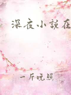 深夜小说在线