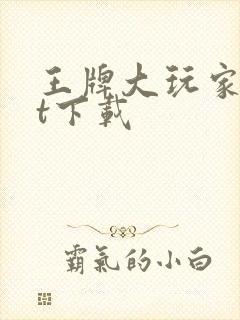 王牌大玩家txt下载