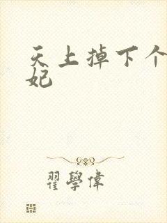 天上掉下个奇王妃