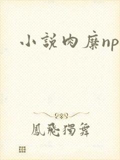 小说肉糜np