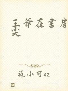 王爷在书房含乳尖