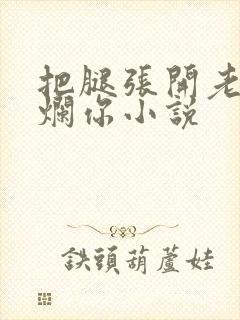 把腿张开老子臊烂你小说