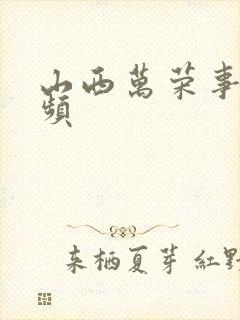 山西万荣事件视频