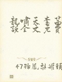 龙啸天李茜茜小说全文免费阅读