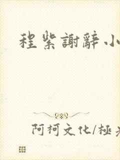 程紫谢辞小说