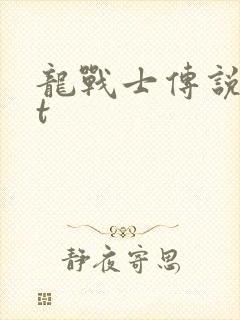 龙战士传说txt