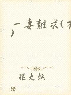 一妻难求(有肉)