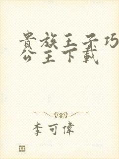 贵族王子巧遇穷公主下载