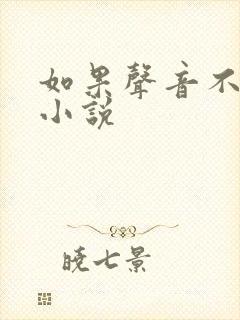 如果声音不记得小说