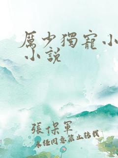 厉少独宠小娇妻 小说