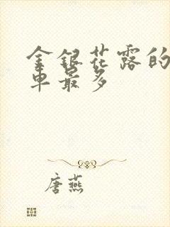 金银花露的哪个车最多