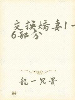 交换娇妻1一36部分