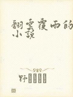 翻云覆雨的秘密小说