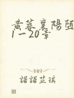 黄蓉襄阳堕落史1一20章