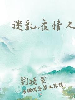 迷乱夜情人