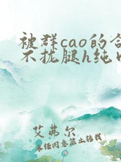 被群cao的合不拢腿h纯肉视频