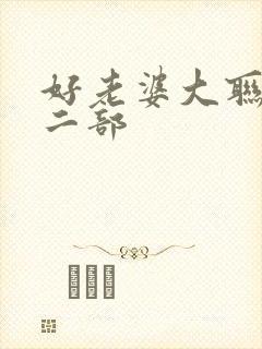 好老婆大联盟第二部