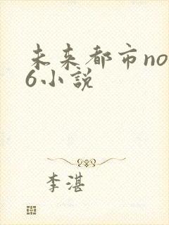 未来都市no.6小说