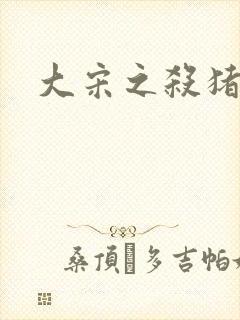 大宋之杀猪状元