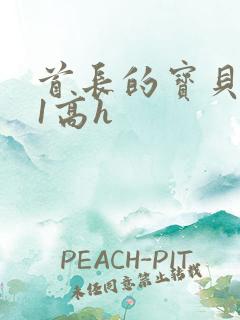 首长的宝贝1v1高h