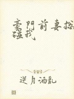 豪门前妻总裁别碰我