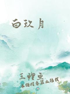 白玖月
