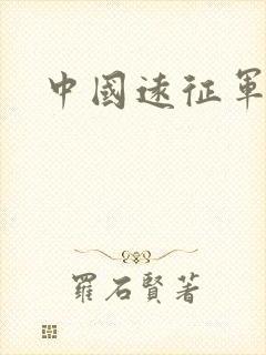 中国远征军小说