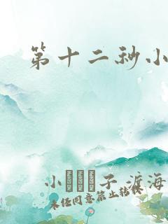第十二秒小说