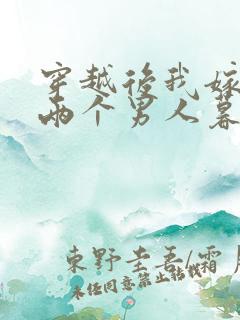 穿越后我嫁给了两个男人暮色酒歌