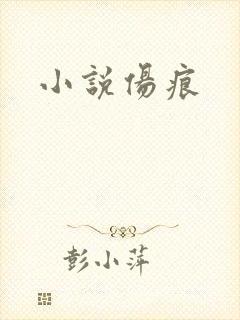 小说伤痕