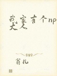 我家有个npc大人